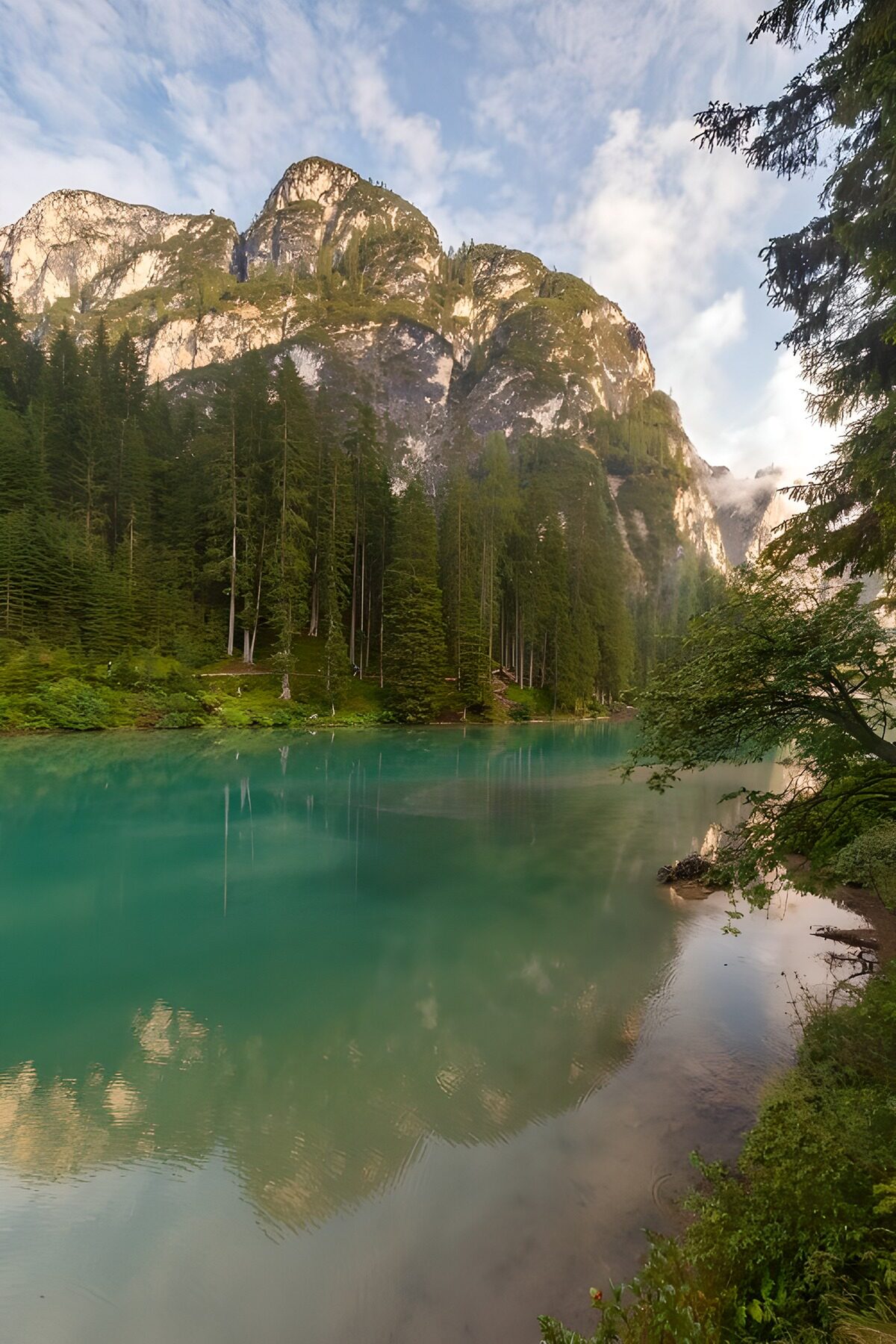 TPES67367: Lago turquesa en calma entre bosque y roca