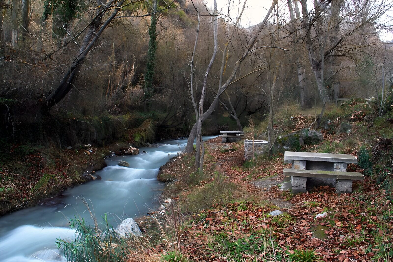 TPES14983: Arroyo y mesas de piedra en el bosque