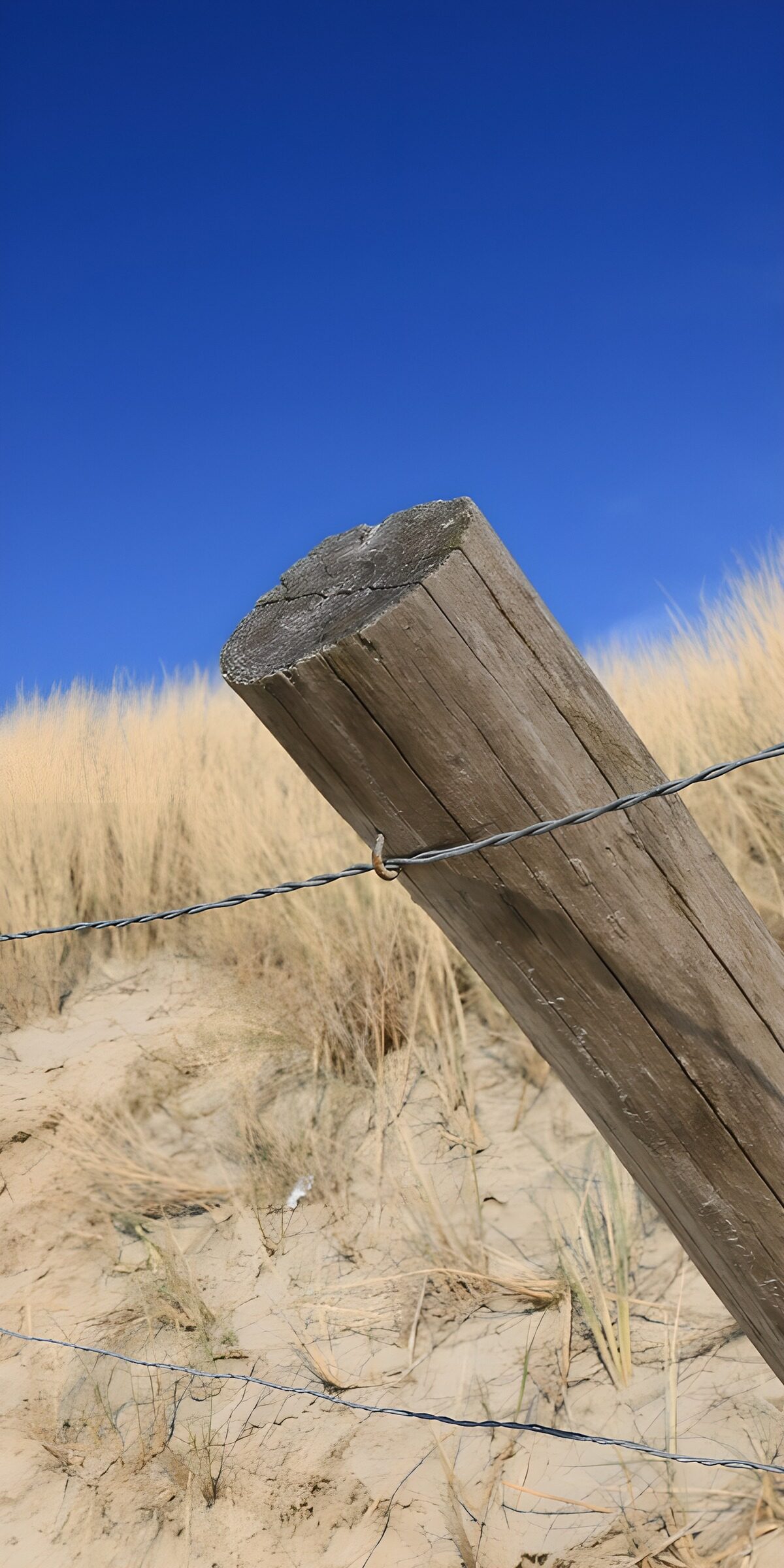 TPES22626: Poste de madera entre dunas al sol