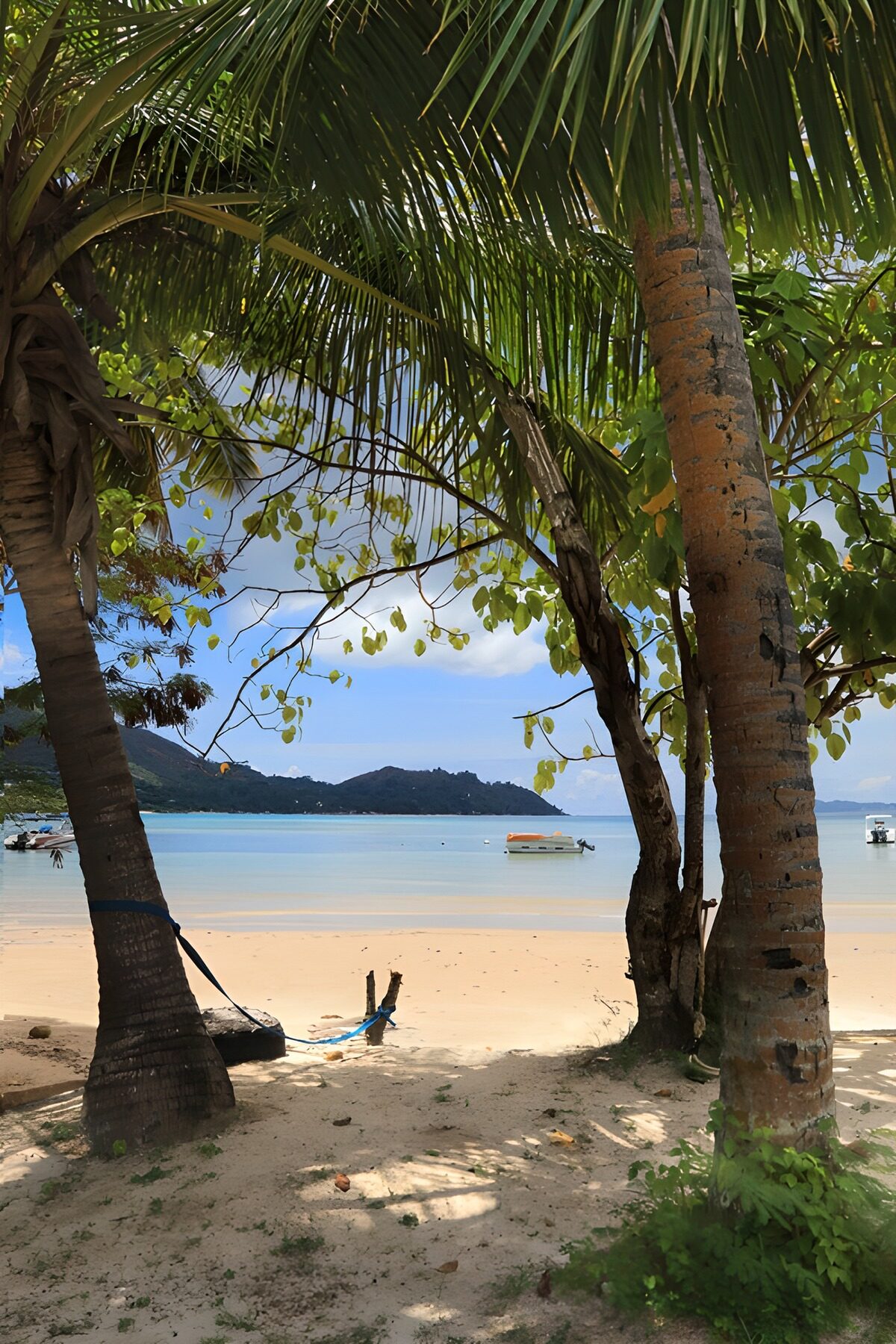 Entre palmeras, el mar se toma un respiro