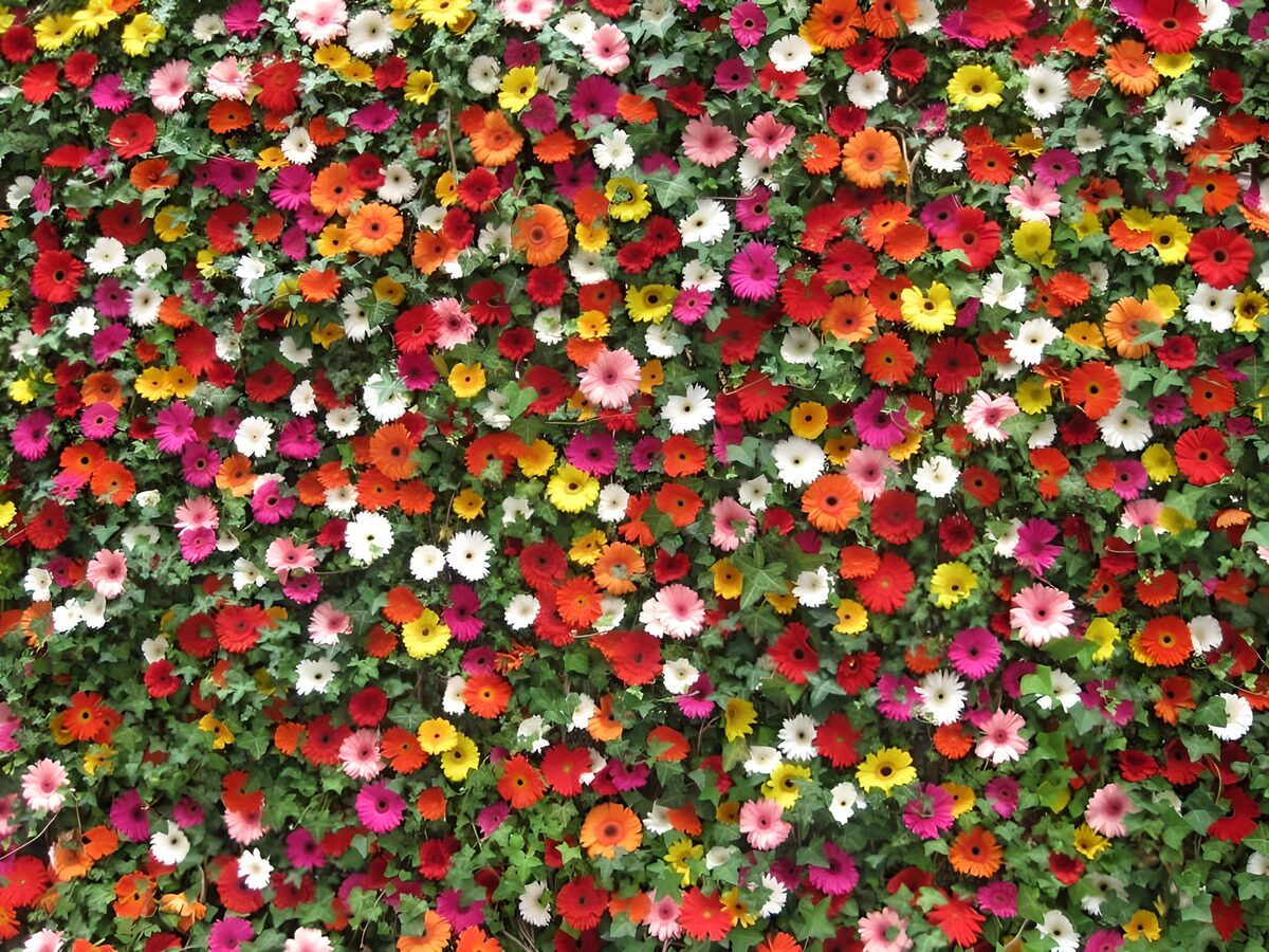 Flores multicolores entre hojas verdes