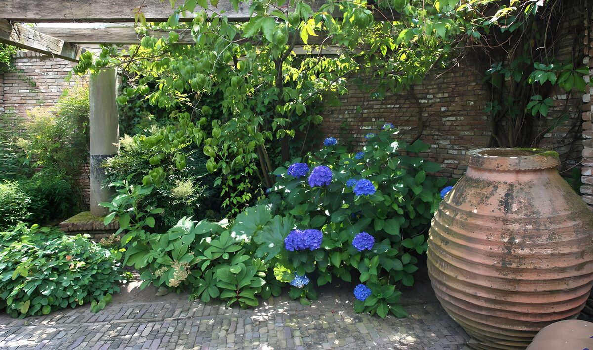 TPES39438: Hortensias azules junto a una gran tinaja