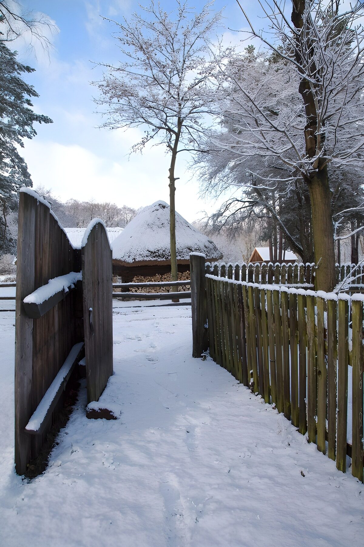 TPES94719: Cabaña redonda entre nieve y madera