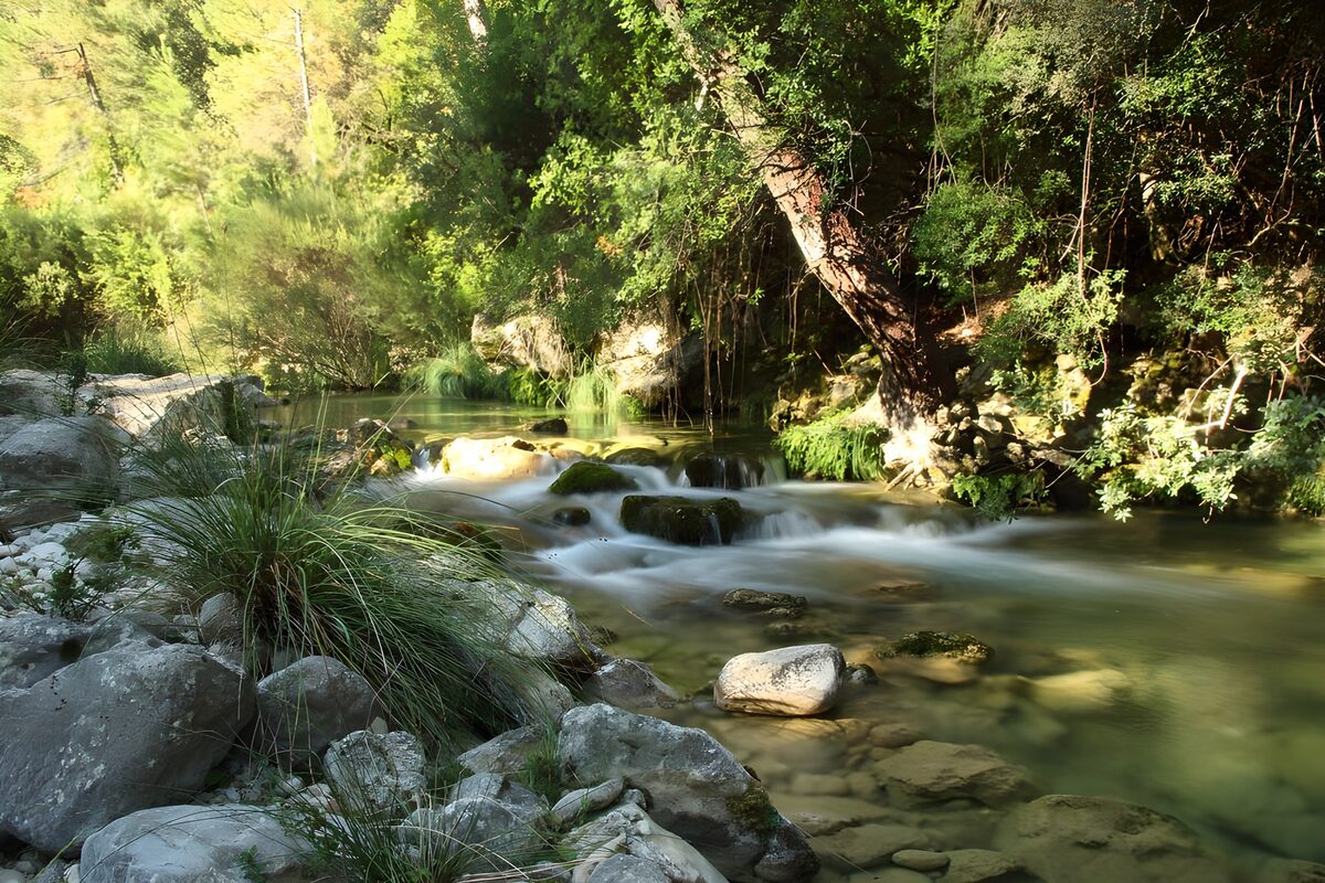 TPES51722: El arroyo se va de piedra en piedra