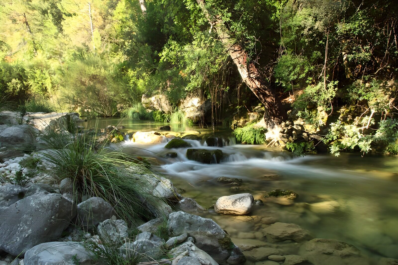 TPES51722: El arroyo se va de piedra en piedra