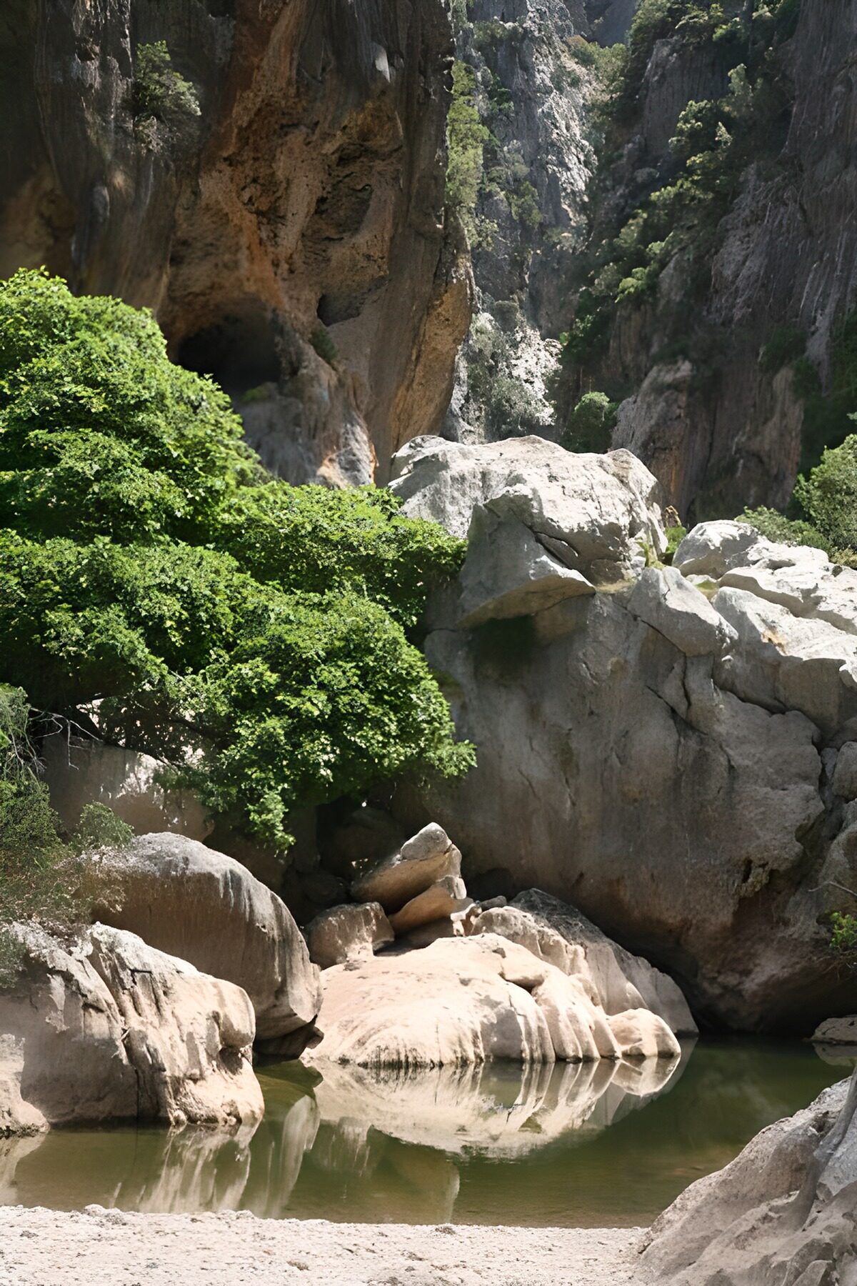 Rocas y agua en un desfiladero en calma