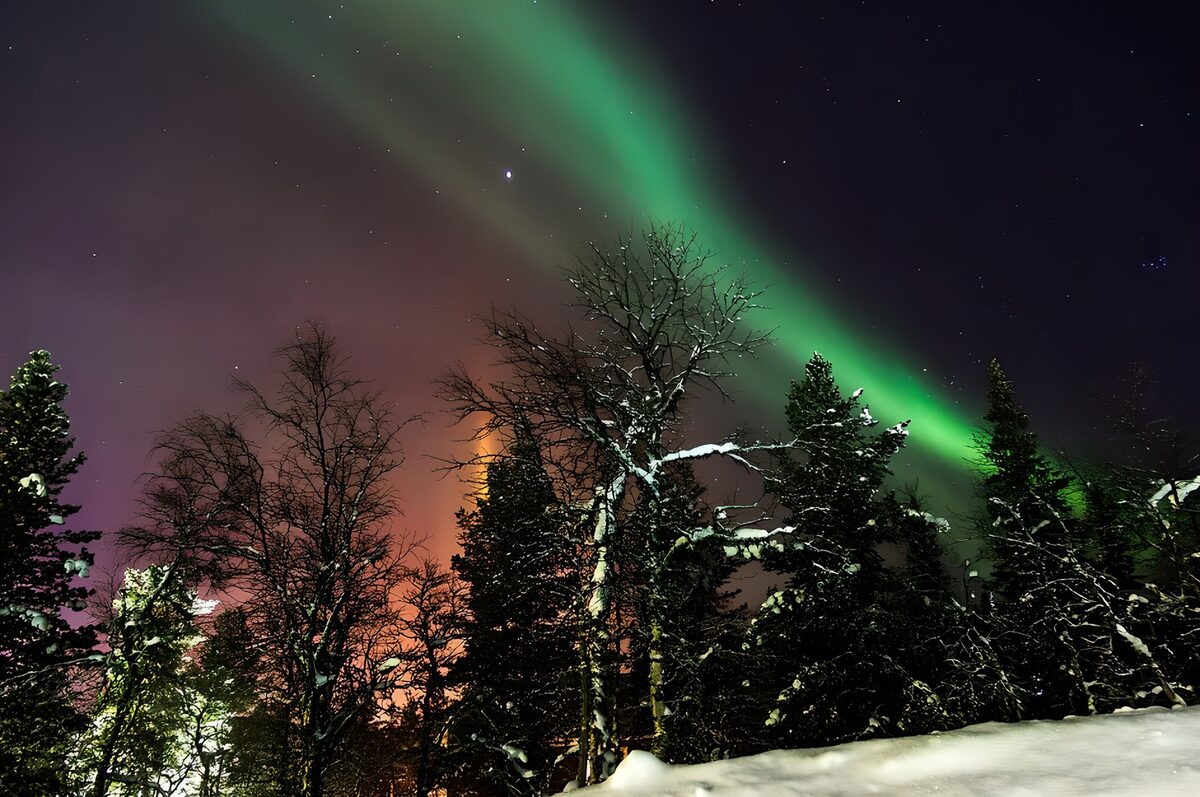 Aurora verde sobre el bosque nevado