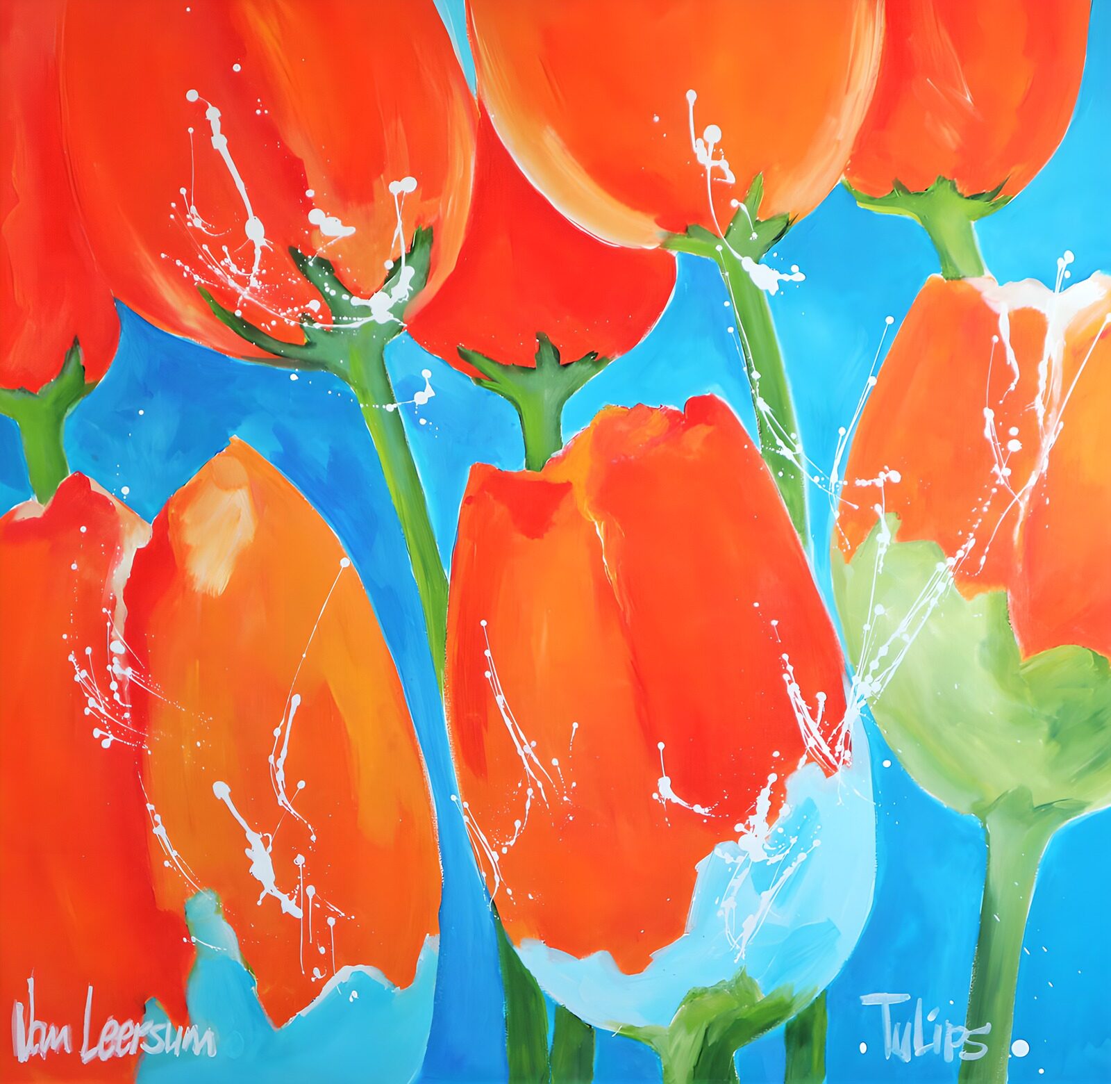 TPES43267: Tulipanes rojos y naranjas sobre azul