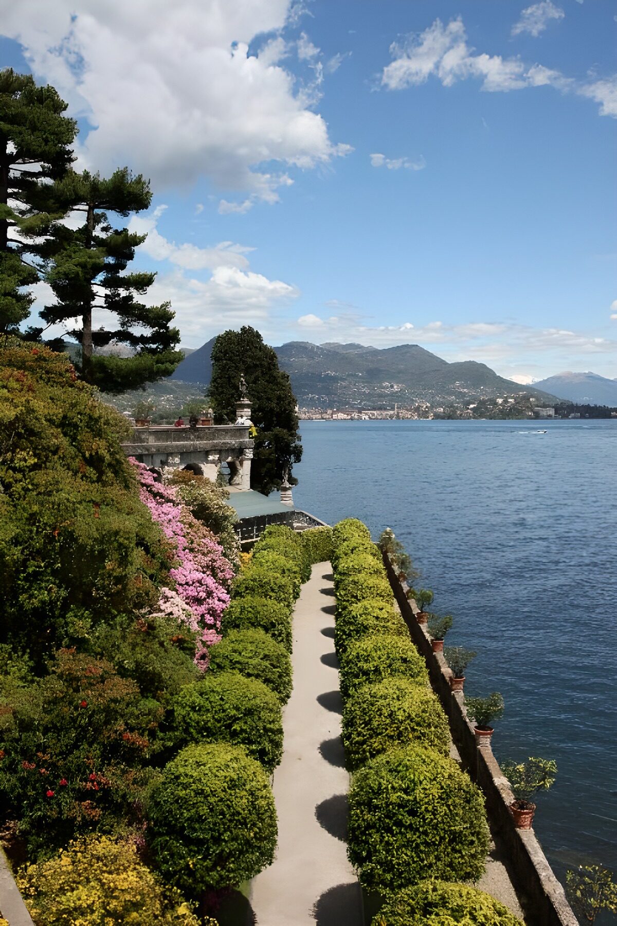 TPES47583: Jardín entre setos junto al lago