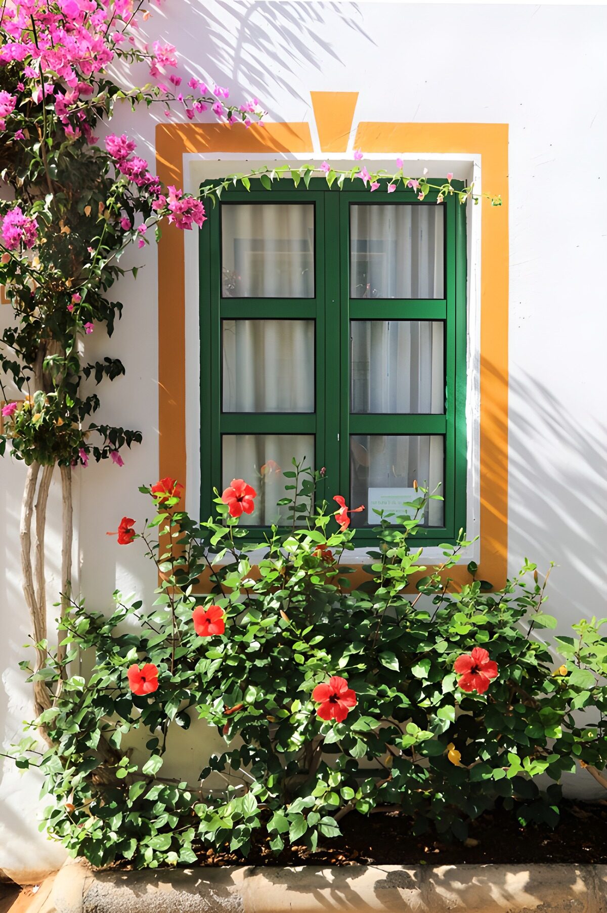 TPES58634: Ventana verde con hibiscos rojos