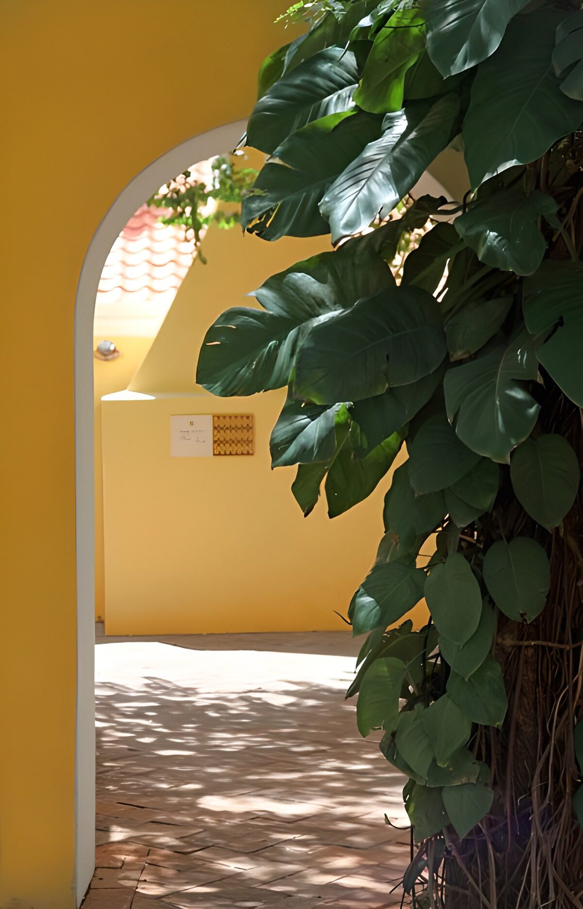 TPES41022: Arco amarillo y hojas al sol