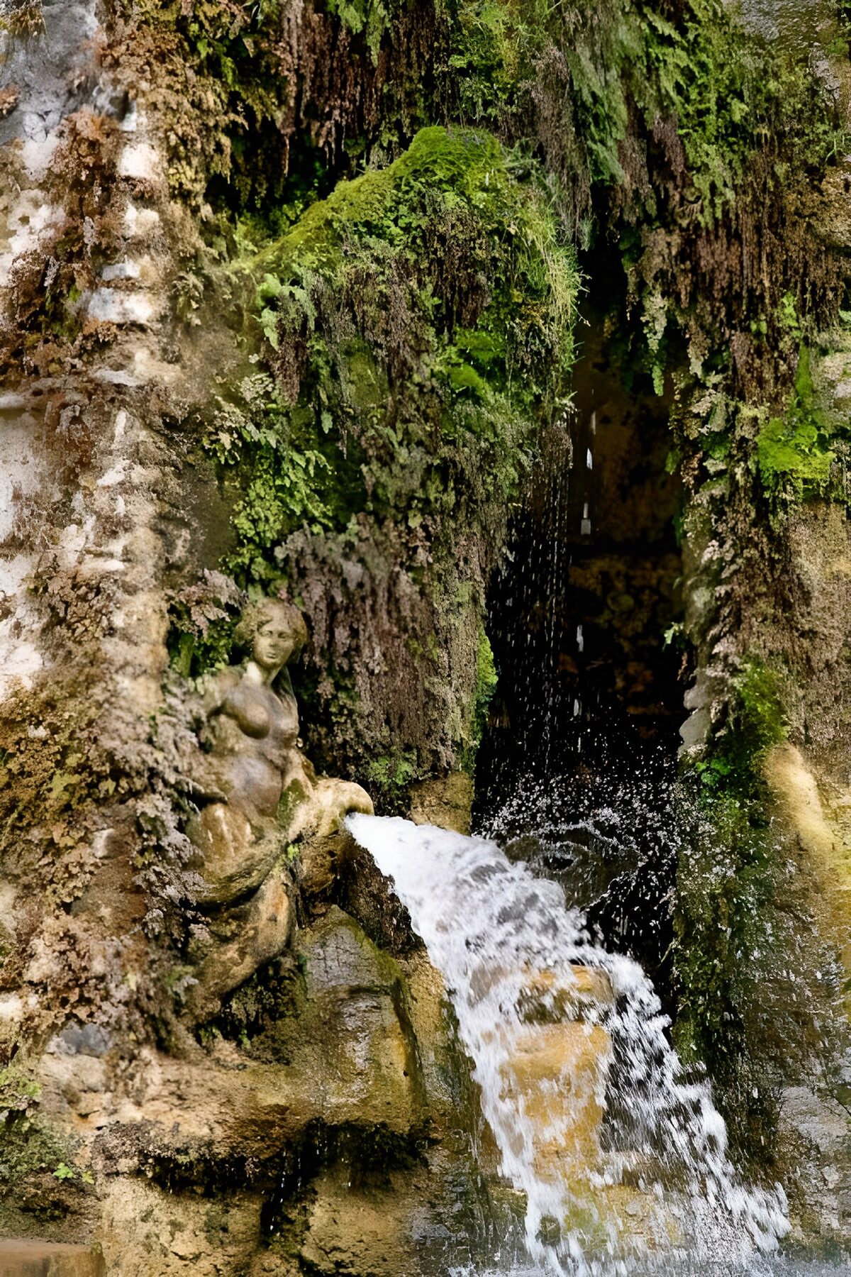 TPES60485: Fuente de piedra entre rocas y musgo