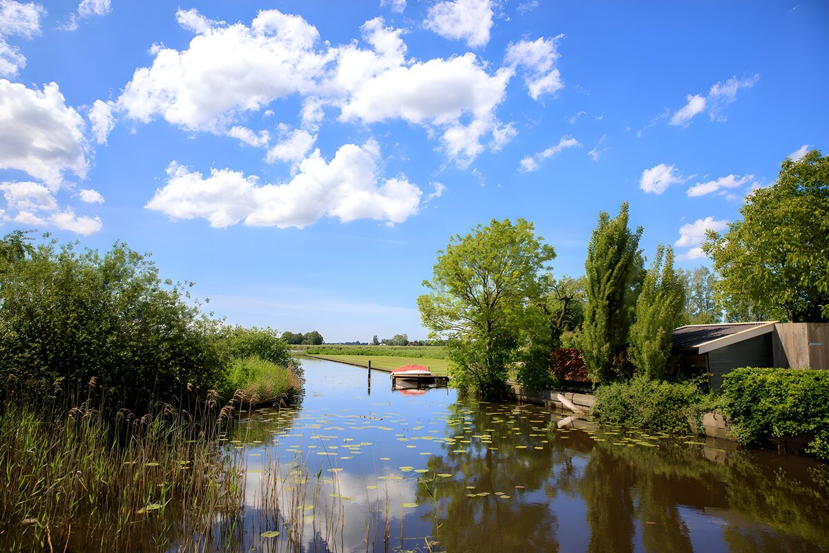 TPES48291: Canal entre juncos y jardines