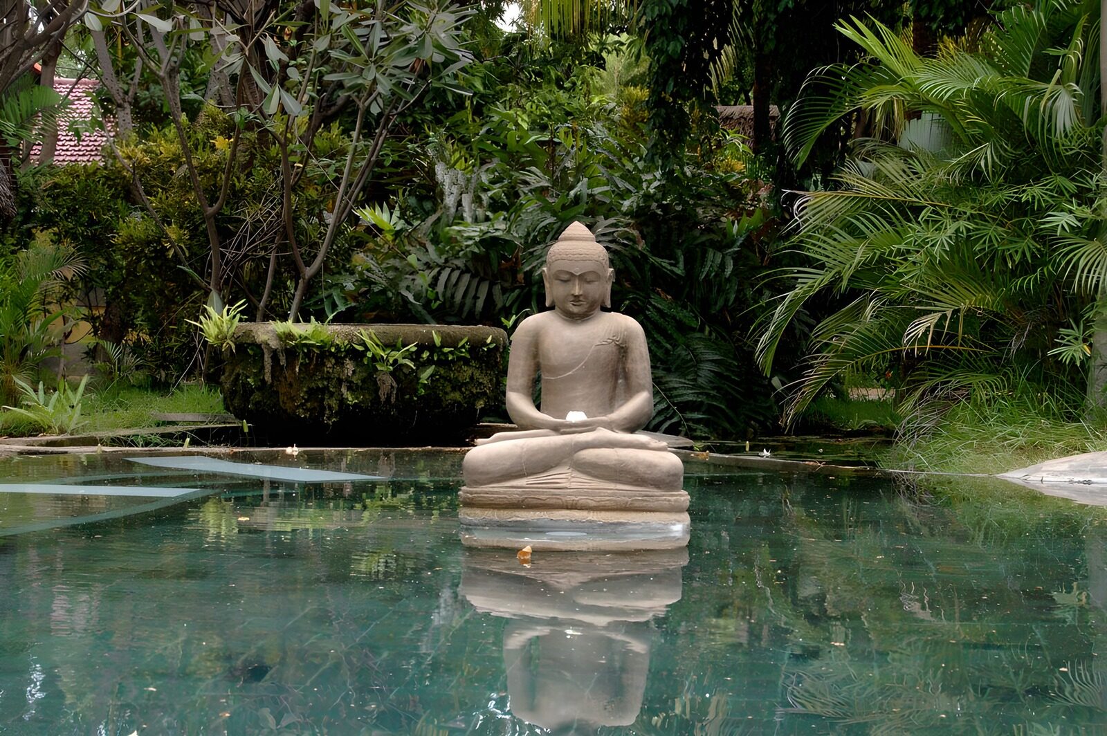 TPES66310: Buda de piedra en un estanque en calma