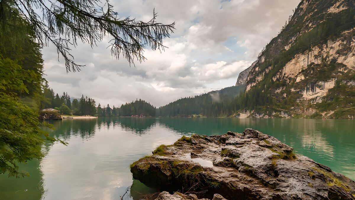 Lago verde al abrigo del bosque