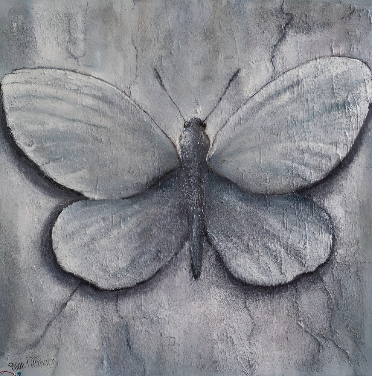 TPES43863: Mariposa gris con las alas desplegadas