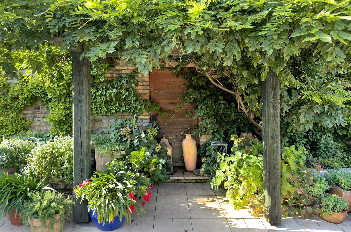 Patio con pérgola entre luces y sombras