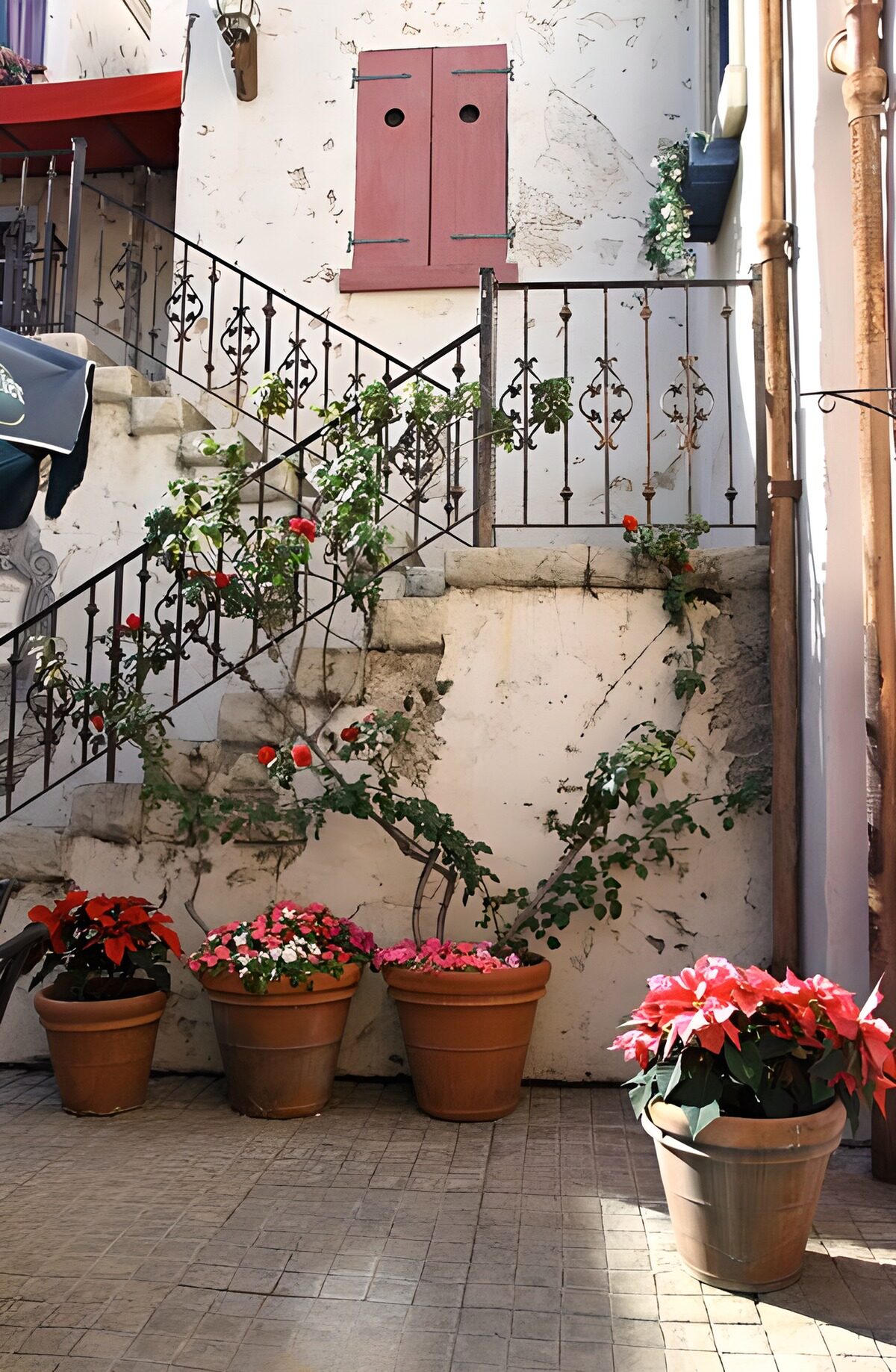 Escalera de hierro y macetas al sol