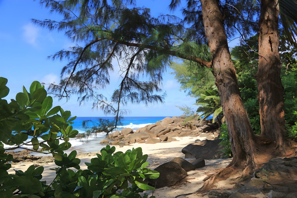 TPES99426: Playa tropical entre rocas y árboles