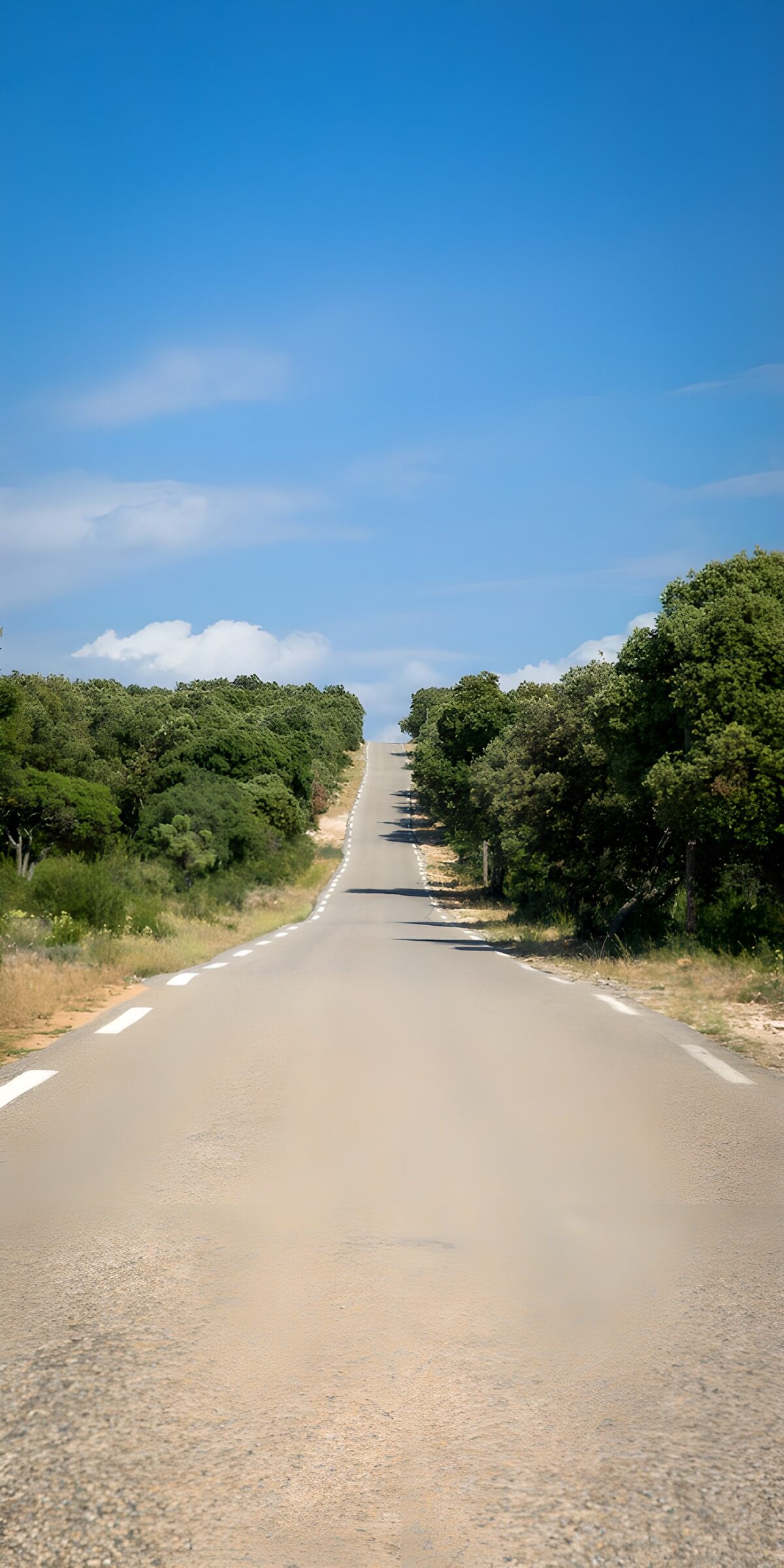 Carretera rural bajo un cielo azul