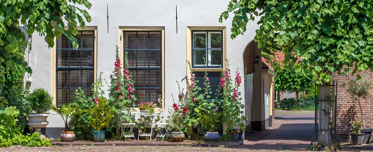 TPES88527: Fachada blanca con flores y sillas al sol