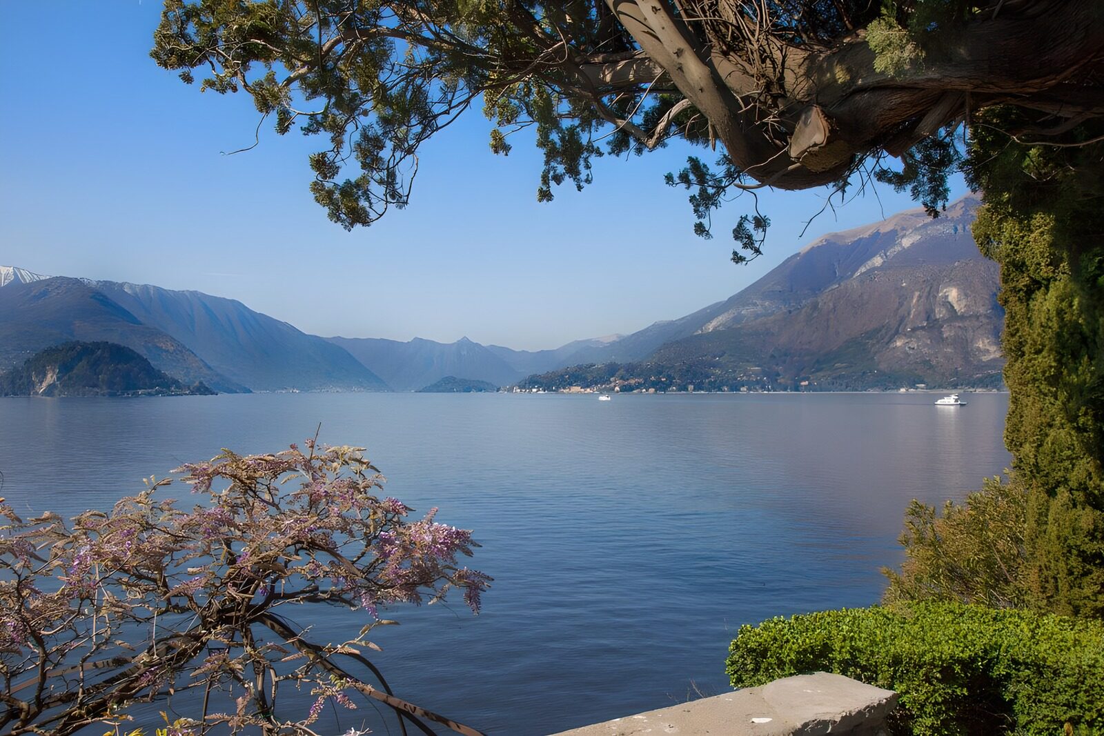 TPES85436: Lago entre montañas y flores malva