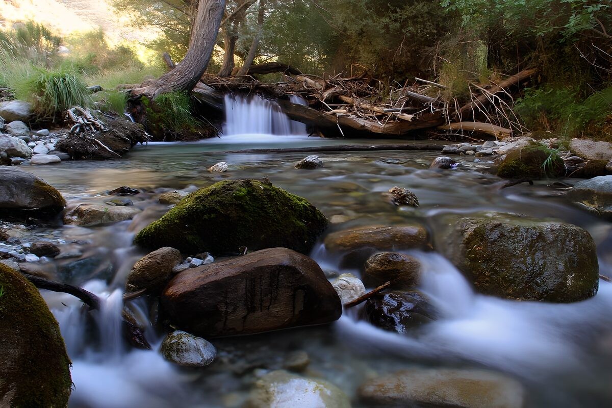 TPES41218: Arroyo y cascada a la sombra del bosque