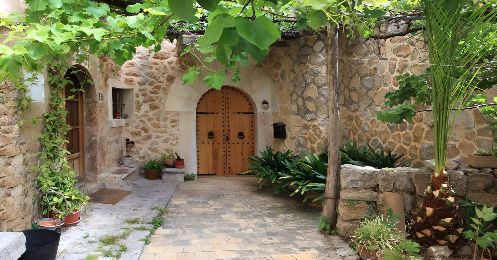 TPES32329: Patio de piedra con puerta bajo las hojas