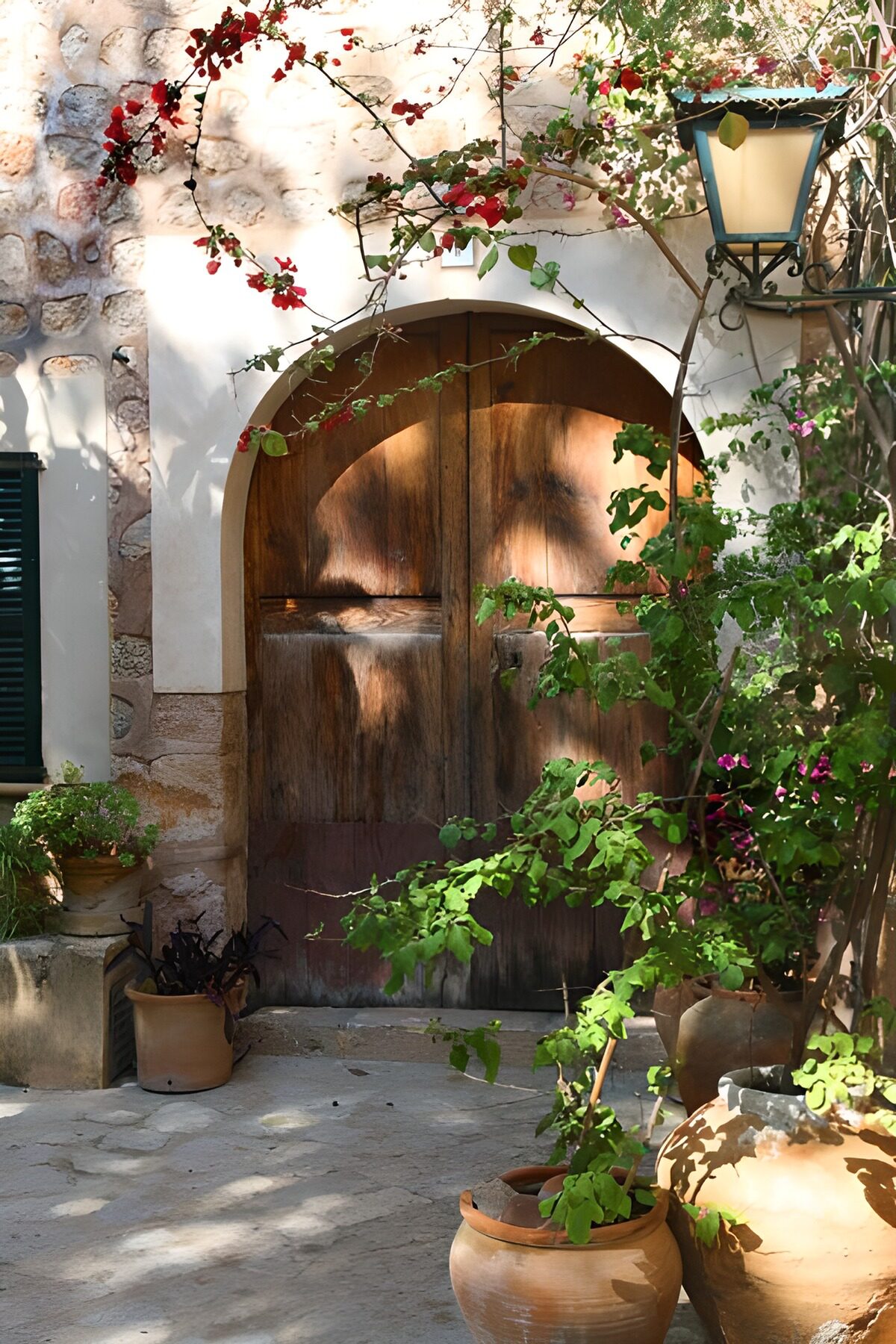 Puerta de madera entre flores y sombras