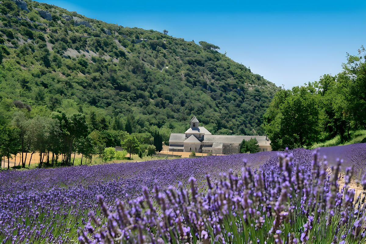 Abadía entre campos de lavanda