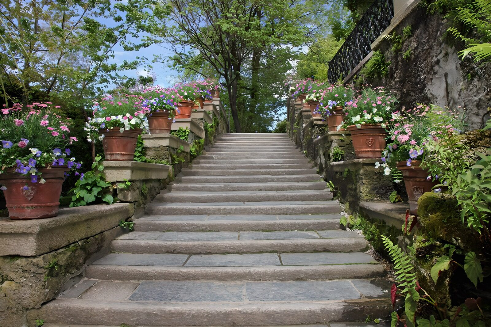 TPES18297: Escalera de piedra en un jardín frondoso