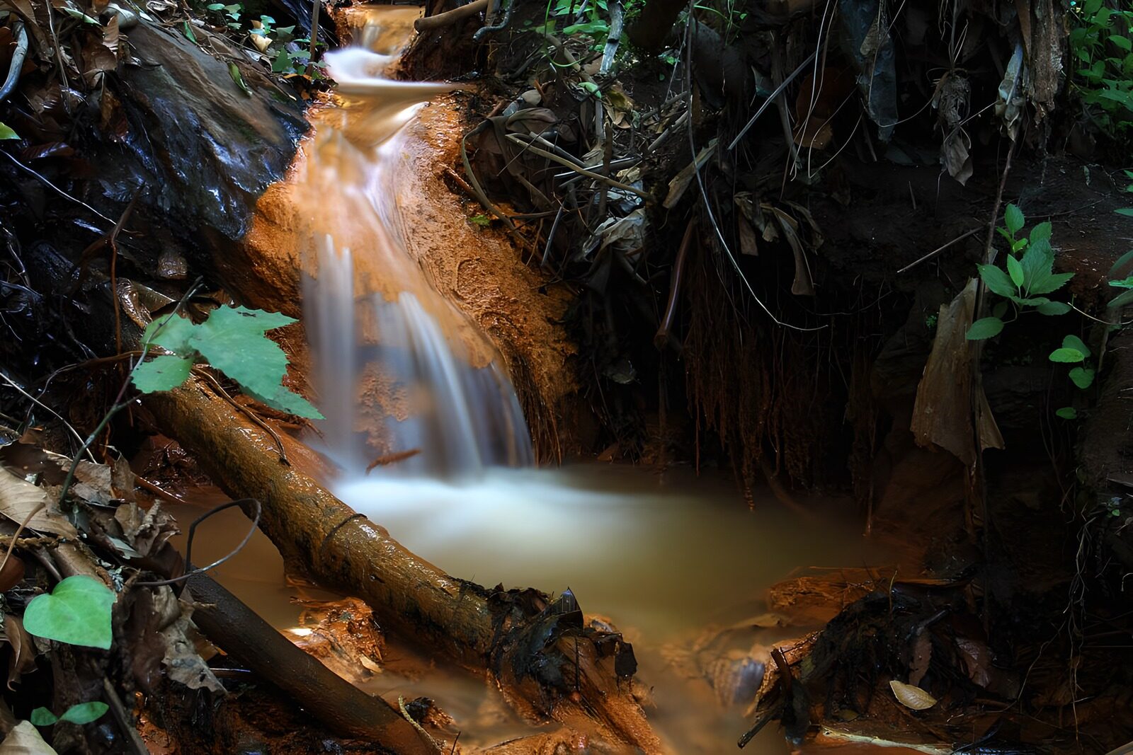 TPES13731: Pequeña cascada en un bosque en sombra