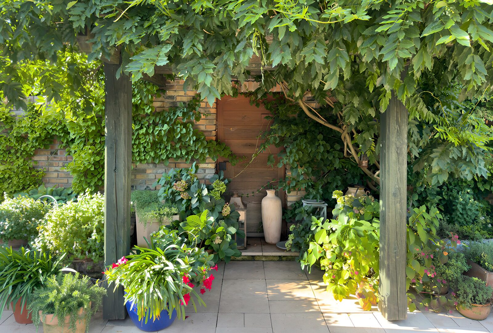 TPES16256: Patio con macetas a la sombra de la pérgola