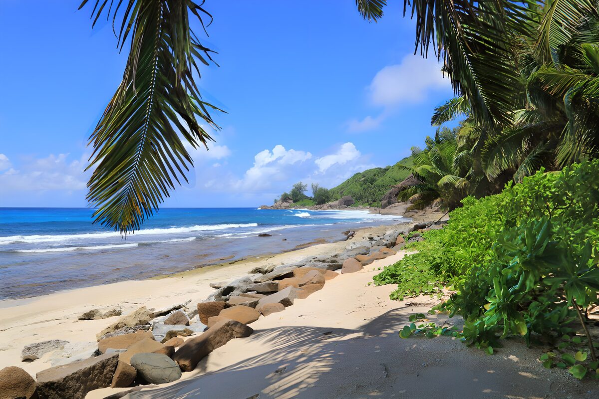 TPES64954: Playa tropical con palmeras y rocas al sol