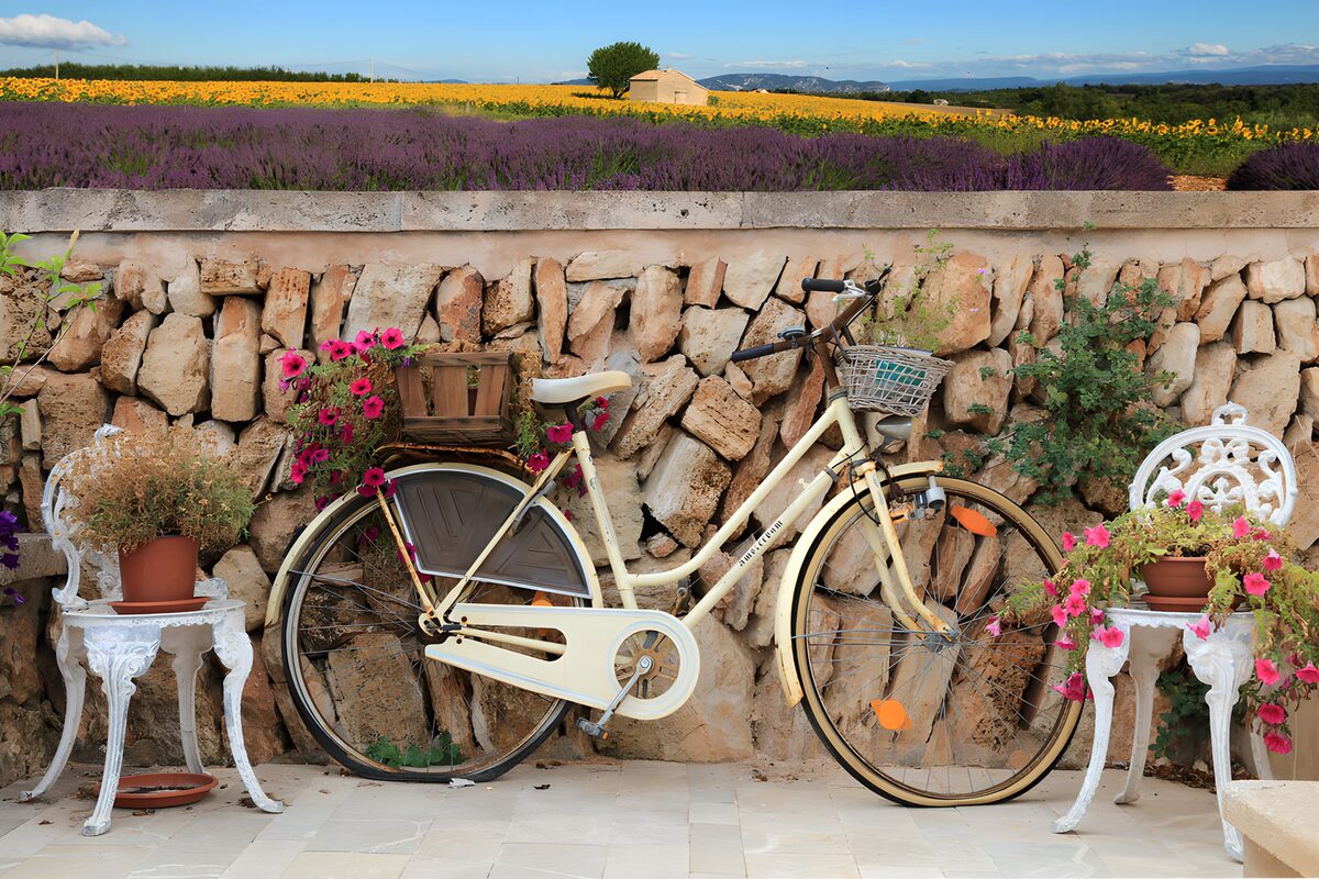 TPES20262: Bicicleta crema entre flores y piedra