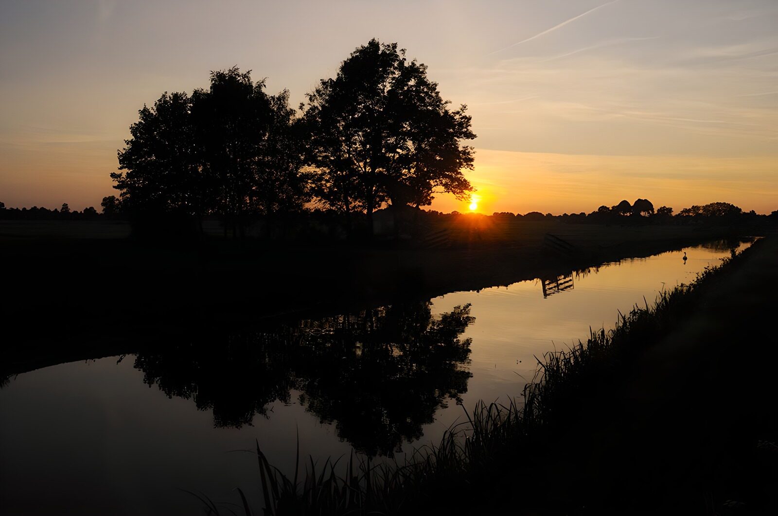 TPES97156: Árboles junto al canal al atardecer