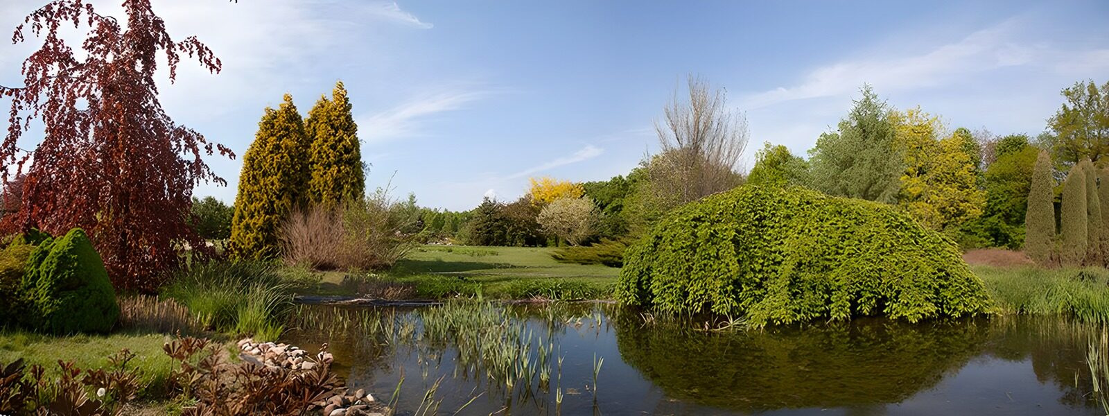 TPES25072: Jardín ornamental con estanque en calma