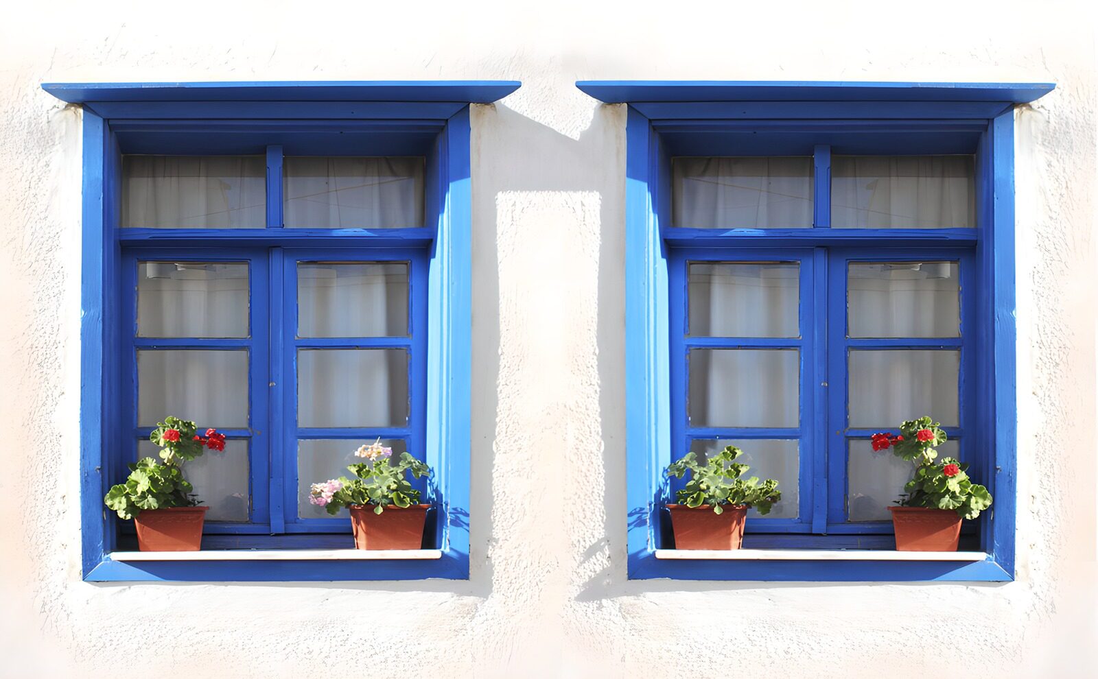 TPES59154: Dos ventanas azules con flores al sol