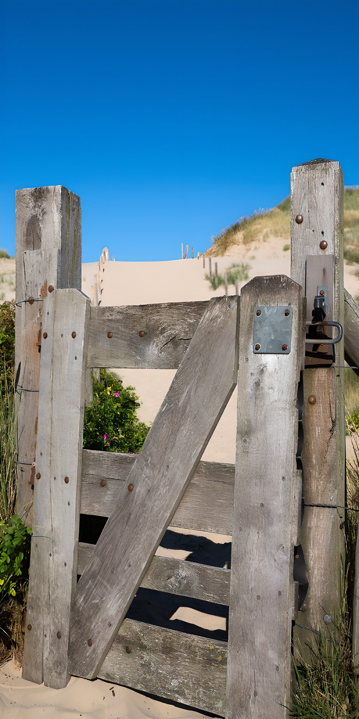 TPES30168: Puerta de madera entre dunas al sol