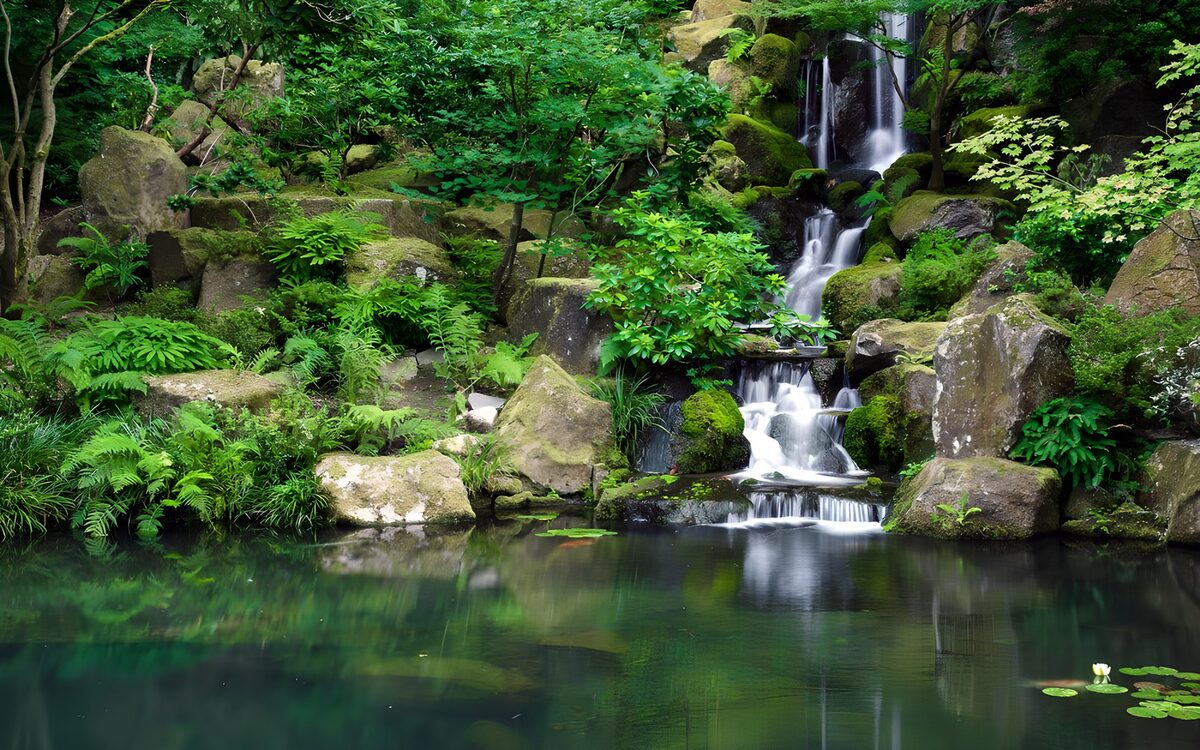 TPES59577: Cascada y estanque entre rocas y verdor