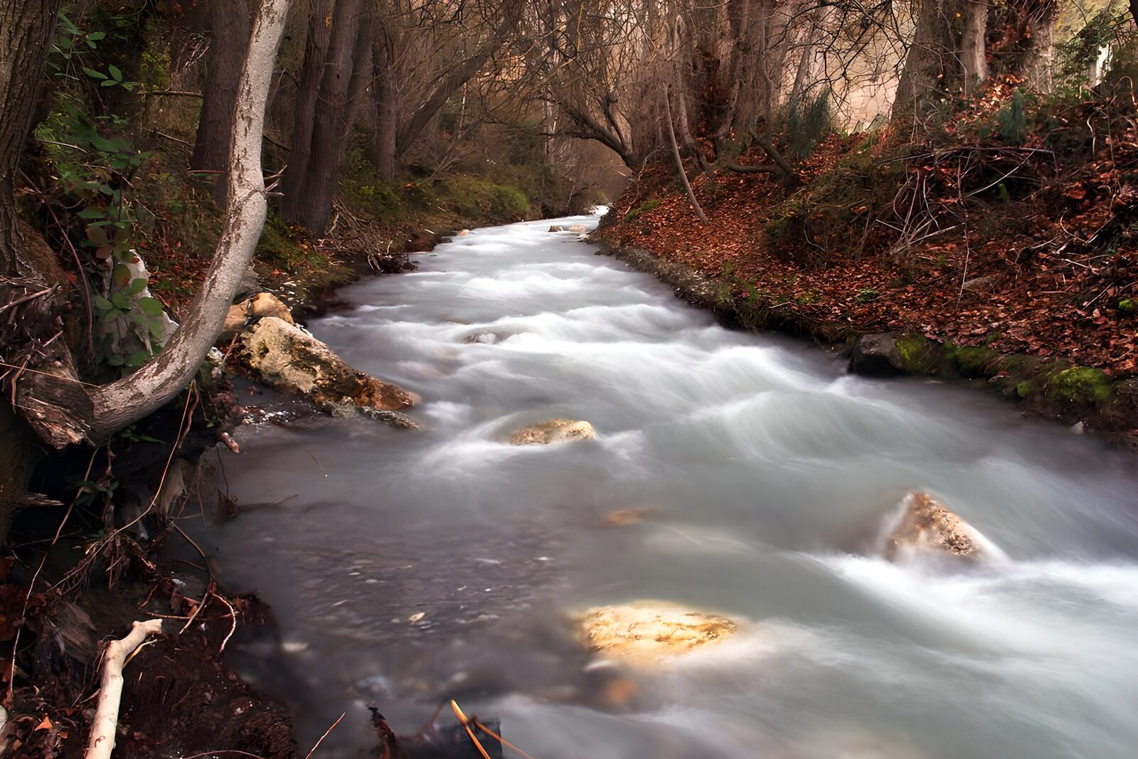 TPES88490: Arroyo entre rocas en un bosque de otoño