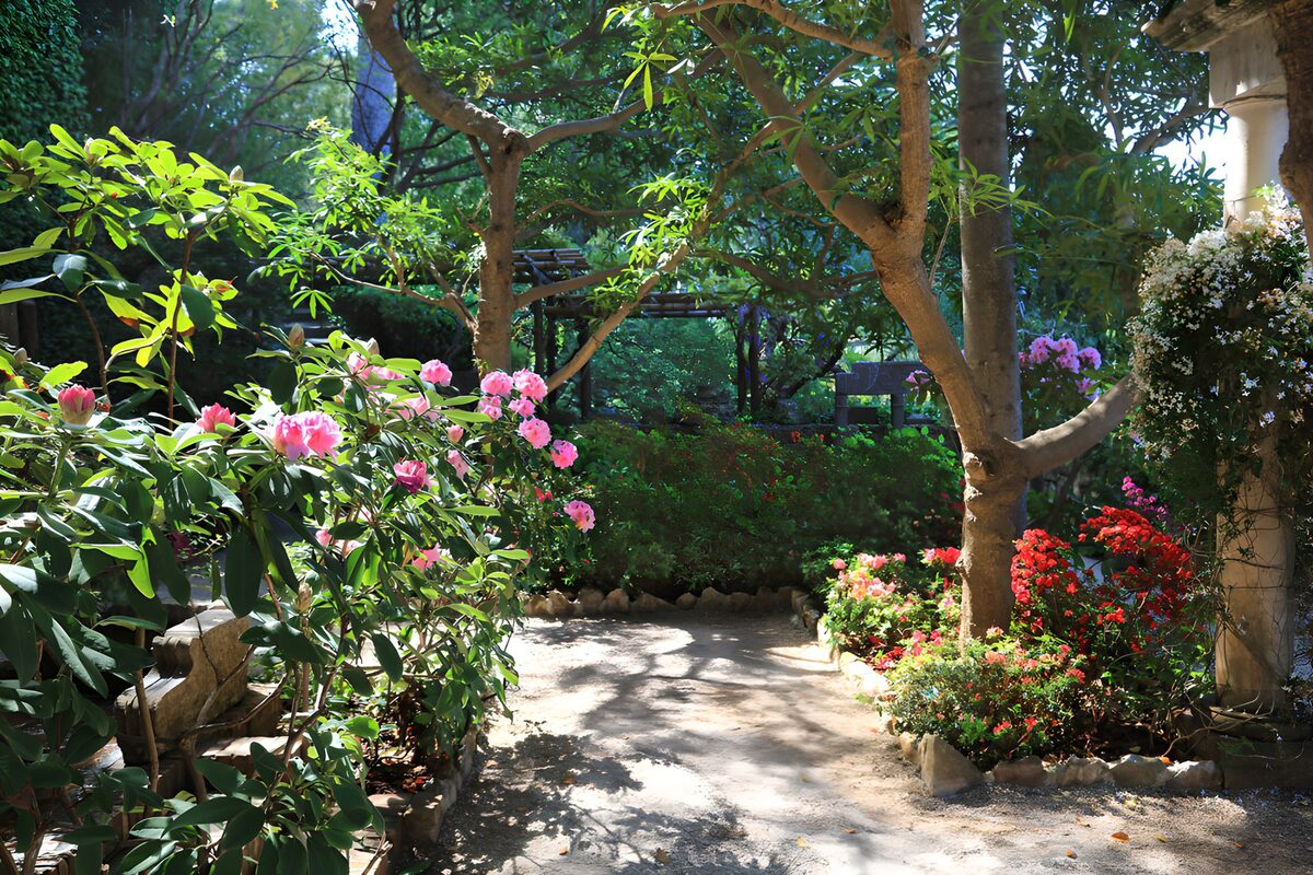 Sendero de grava entre flores rosas