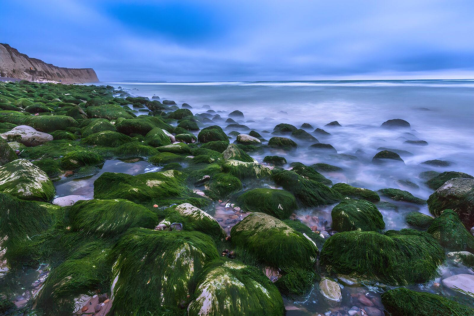 TPES11981: Rocas con algas junto al mar azul gris