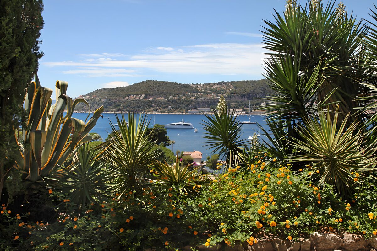 Jardín al sol con vistas a la bahía