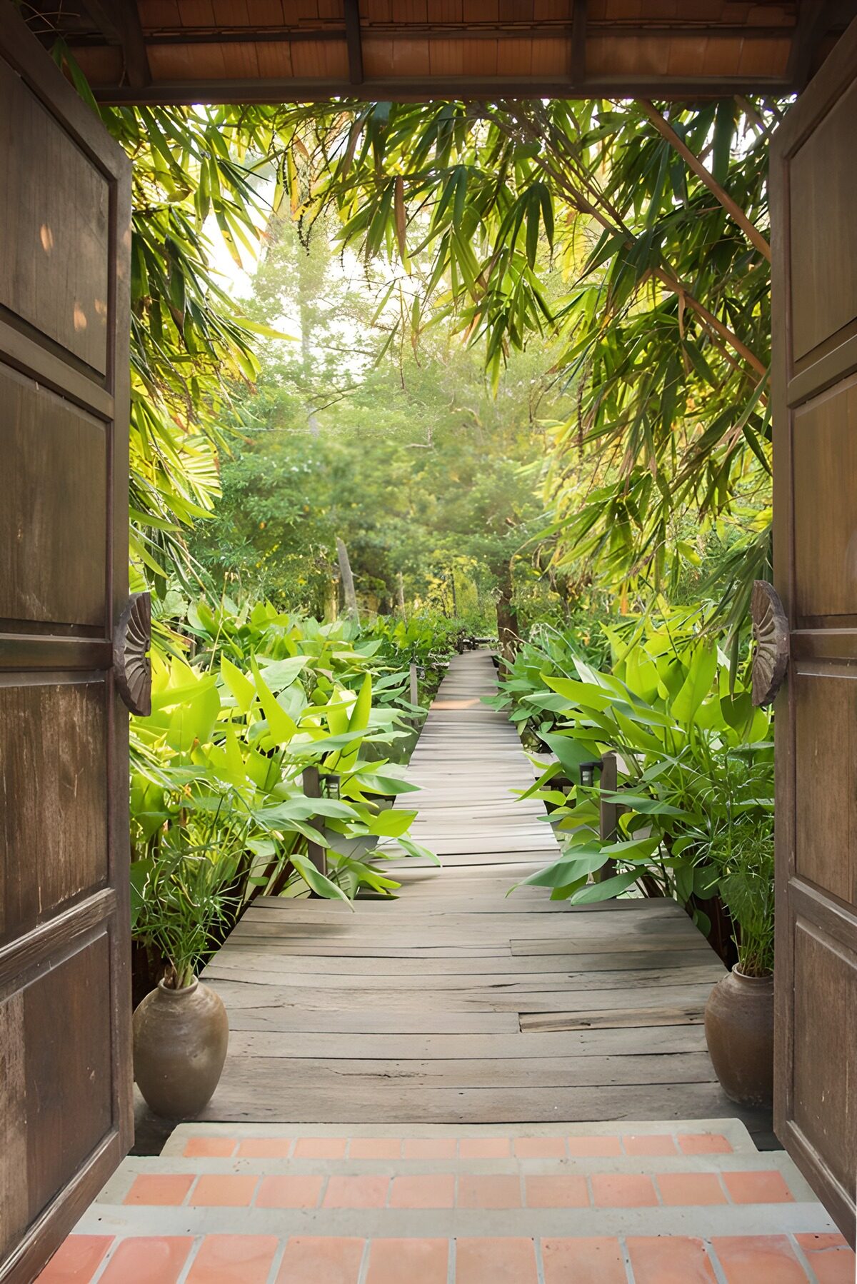 TPES69418: Puertas abiertas al jardín tropical