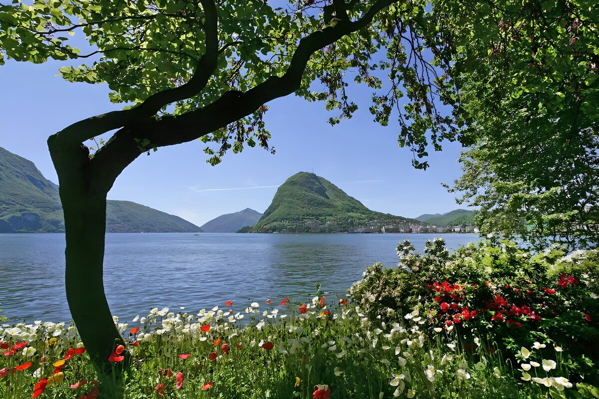 TPES42084: Jardín en flor junto al lago en verano