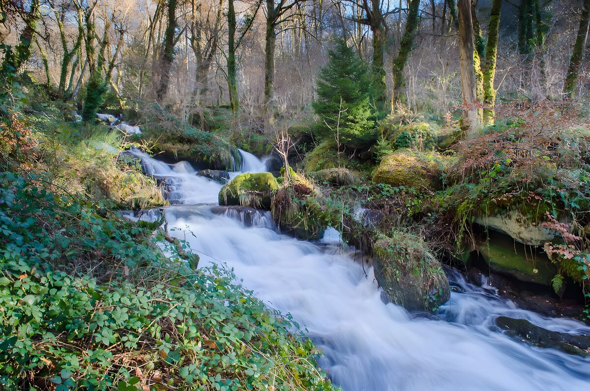 TPES95213: Agua de seda entre rocas y musgo