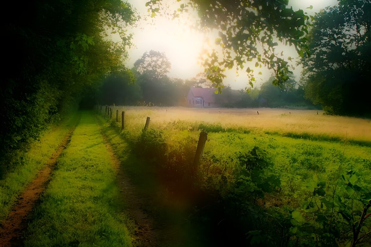 Camino rural junto al prado al amanecer