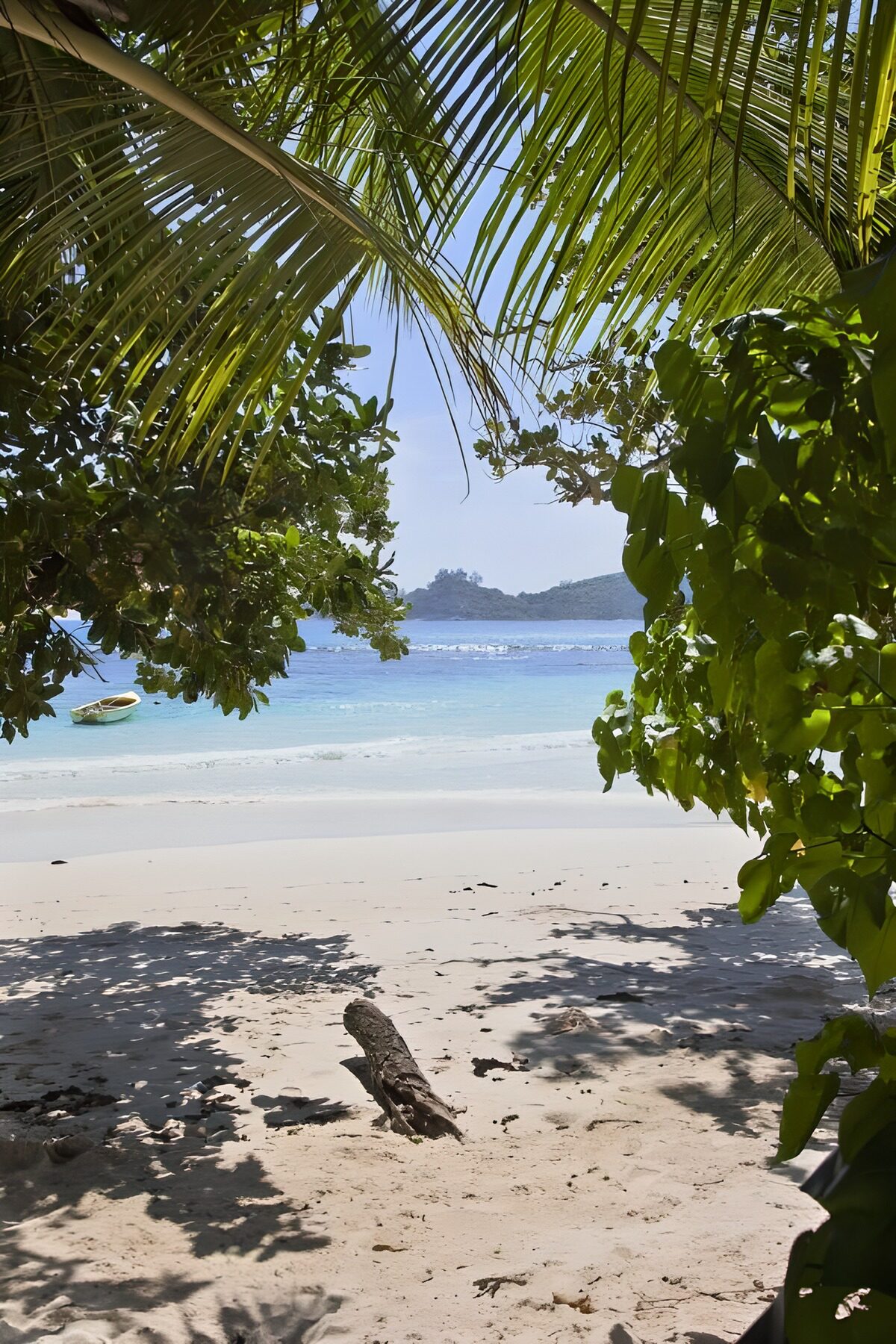 Playa tropical a la sombra de las palmeras