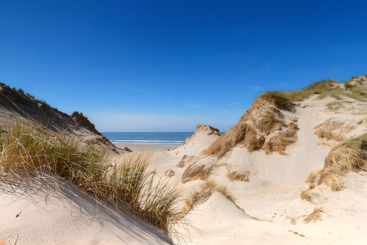 Dunas de arena junto al mar azul